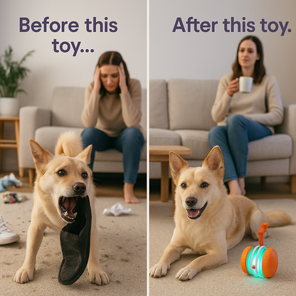 🐶The AQUANEXIS™ – Keep Your Pet Relaxed, Happy & Content for Cat🐱 & Dog🐶