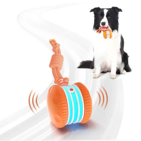 🐾The YOBENSUN™ – Keep Your Pet Relaxed, Happy & Content 🐶