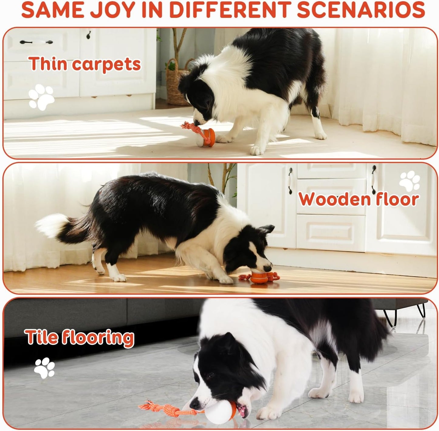 🐶The AQUANEXIS™ – Keep Your Pet Relaxed, Happy & Content for Cat🐱 & Dog🐶