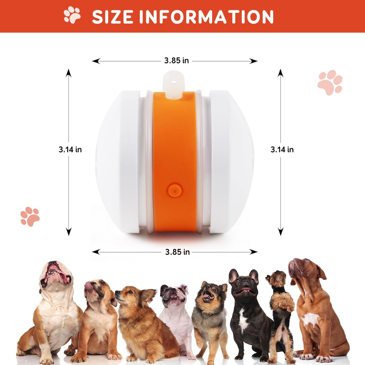 🐶The AQUANEXIS™ – Keep Your Pet Relaxed, Happy & Content for Cat🐱 & Dog🐶