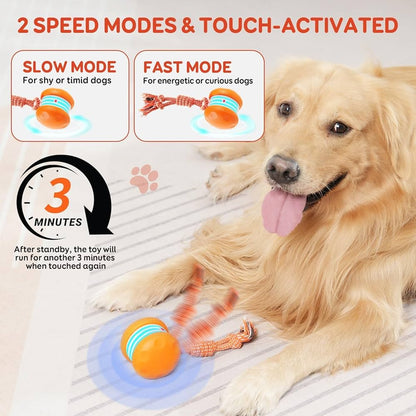 🐶The AQUANEXIS™ – Keep Your Pet Relaxed, Happy & Content for Cat🐱 & Dog🐶