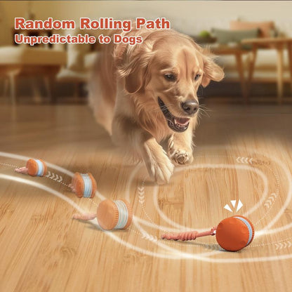 🐶The AQUANEXIS™ – Keep Your Pet Relaxed, Happy & Content for Cat🐱 & Dog🐶