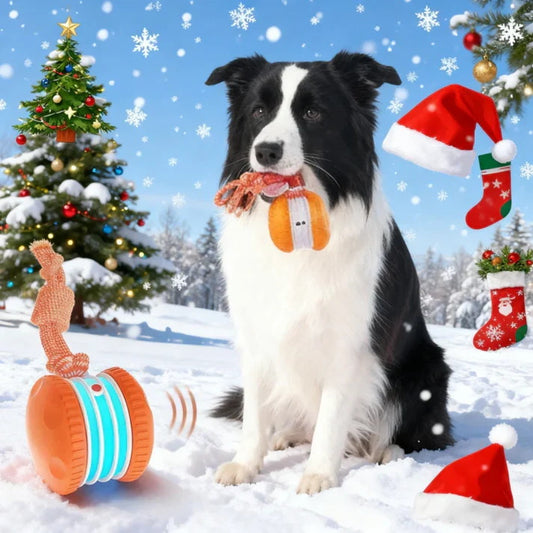 🐶The AQUANEXIS™ – Keep Your Pet Relaxed, Happy & Content for Cat🐱 & Dog🐶